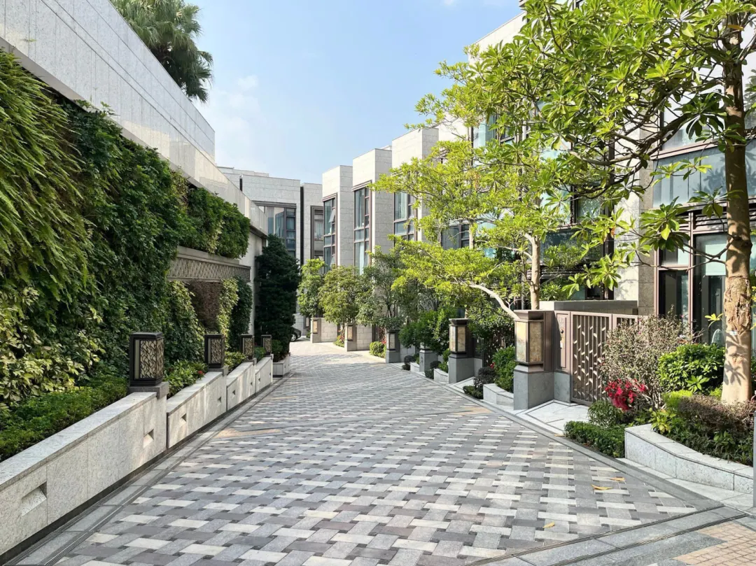 谈谈SHOUSON PEAK 配图2