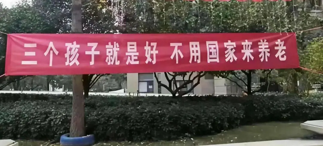 储蓄险才是大头 配图25