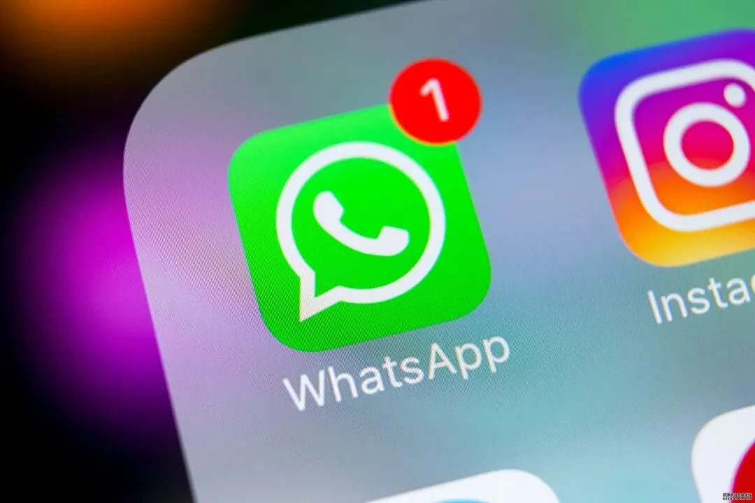 一条WhatsApp送进监狱 配图5