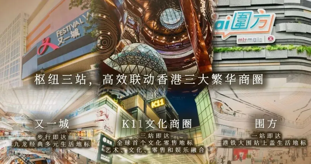 滶蕴为何如此火爆 配图6