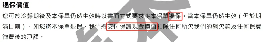 香港美元保单 配图10
