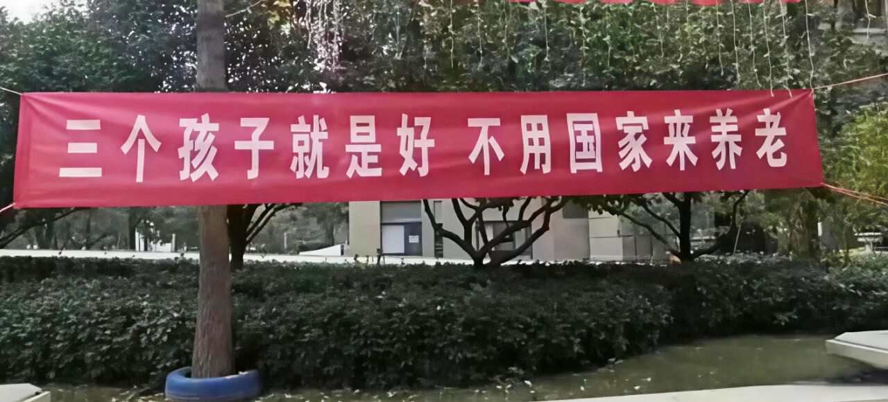 图片[26]-那个花50万买保险的“傻子”…-银行理财网