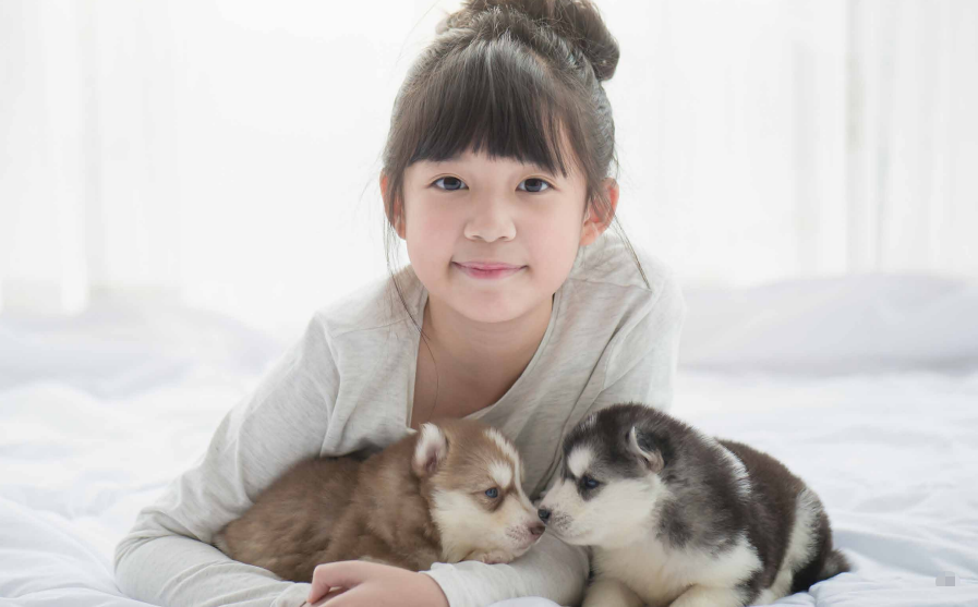 图片[17]-4000字深扒万通危疾加护保（优越版），性价比最高的香港重疾险！-银行理财网